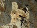 2018-09-18 15-48-01 Chateau de Castelnaud MBo